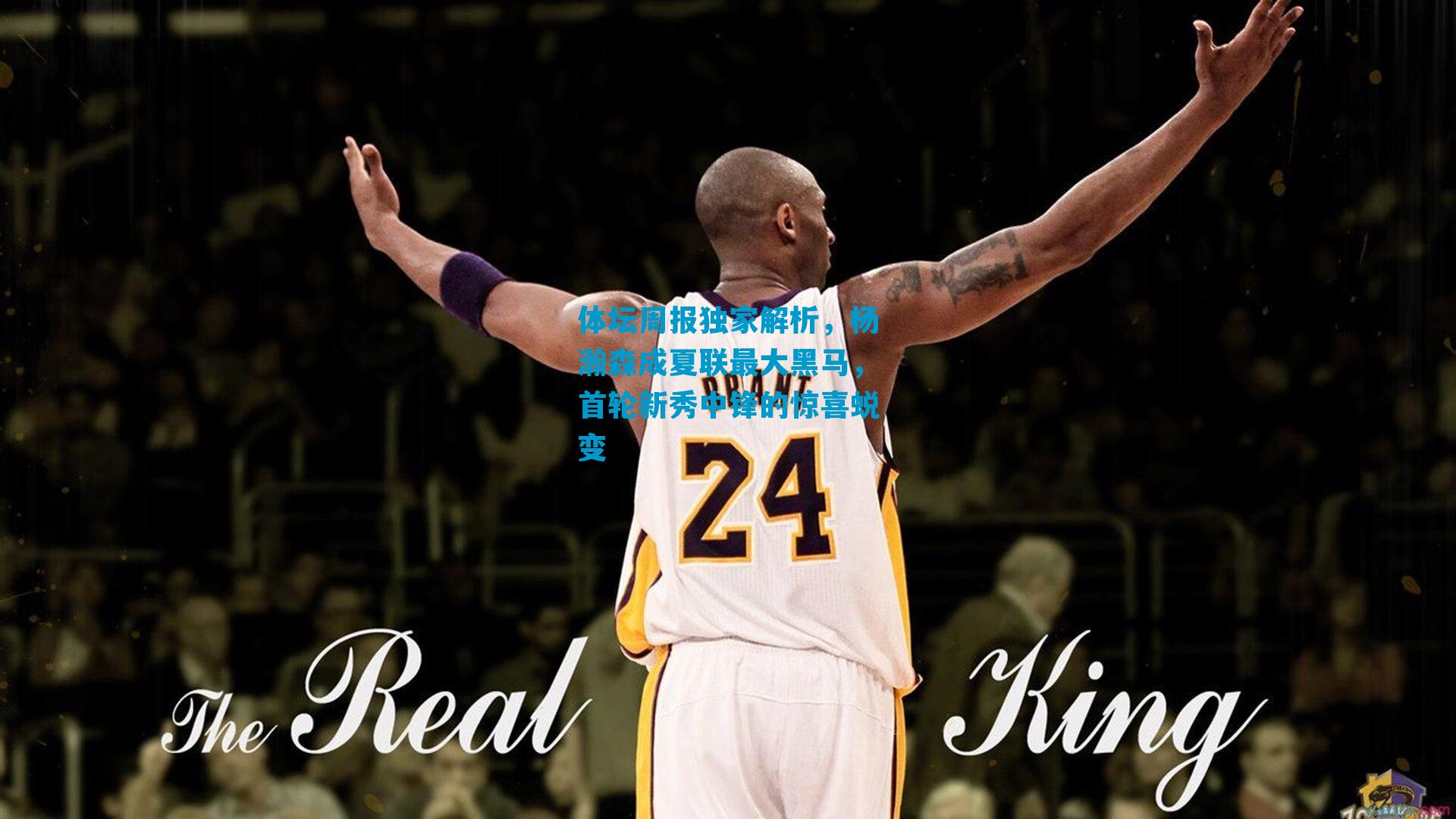 体坛周报独家解析，杨瀚森成夏联最大黑马，首轮新秀中锋的惊喜蜕变